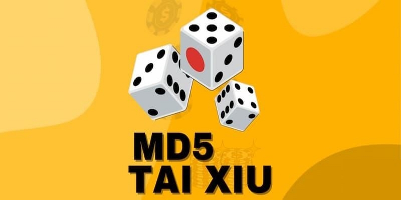 6686_Tài Xỉu Md5 Apk - Hướng Dẫn Cách Tải Dễ Dàng, Nhanh Chóng